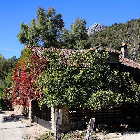Gasthaus Molino Rodete Jimera de Líbar Exterior foto