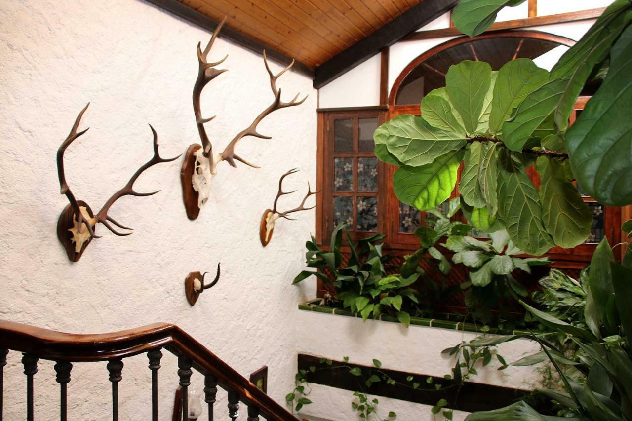 Gasthaus Molino Rodete Jimera de Líbar Exterior foto